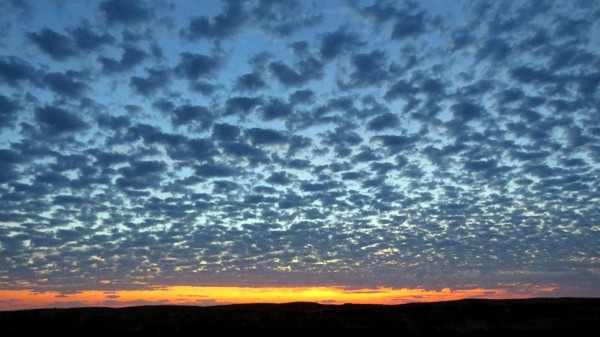 11140269_487056181475348_5070746051007500414_n