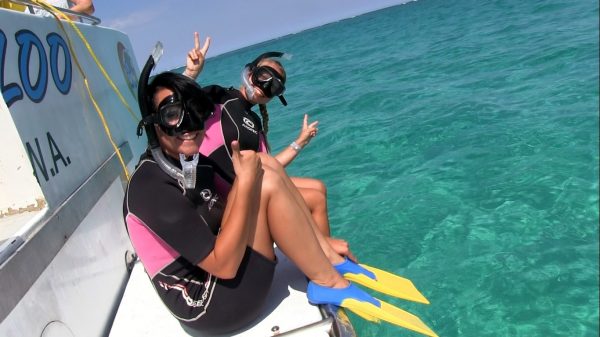 11260319_487627268084906_6435853437132838149_o