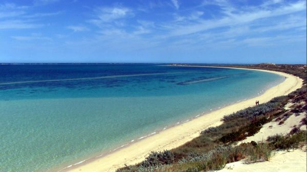 12185070_487627861418180_4877836948872301500_o