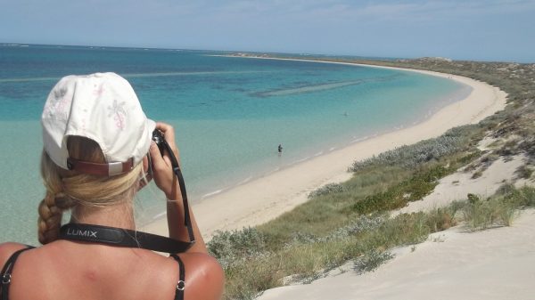 12185201_487627898084843_5315529037641849870_o