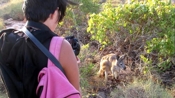 12185518_487056241475342_5369083322490861956_o