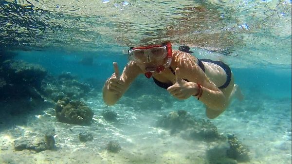 12189444_487056114808688_8678838904590092054_o