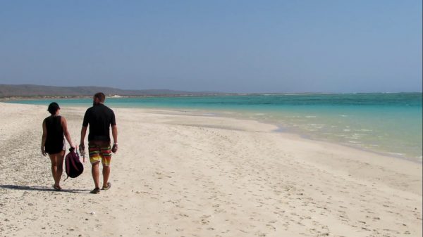 12194782_487056141475352_251808062940139549_o